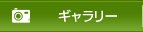 ギャラリー