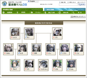 霊長類研究所でのチンパンジー