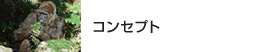 コンセプト