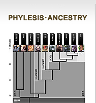 Phylesis/Ancestry