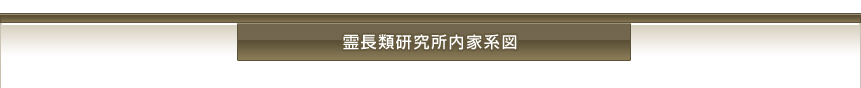 霊長類研究所内家系図