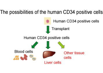 Fig.3