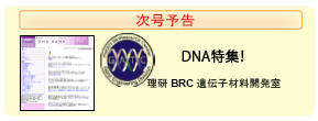 DNA特集