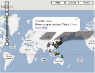 }3@GBIFf[^Google mapɕ\Ă鐶E
