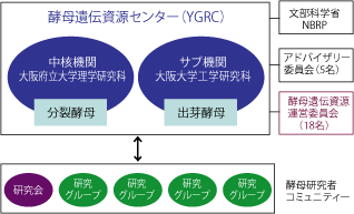 }S : YGRC̑gD}