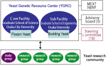 Fig.4: Organization of YGRC