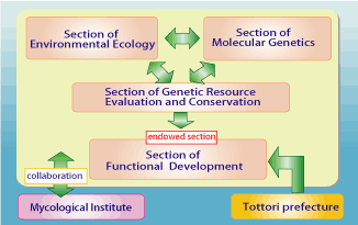 Fig.1