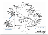 Fig.4