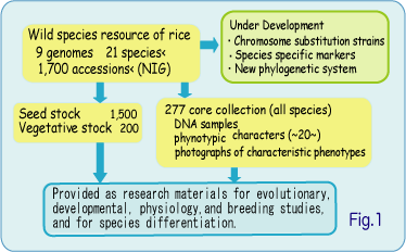 Fig.1