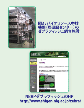 Fig.3