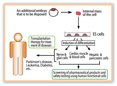 Fig.1