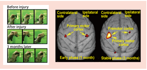 Fig.1