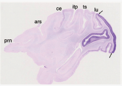 Fig.3