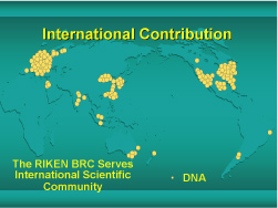 Fig.:International Contribution