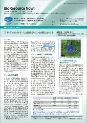 Newsletter_download
