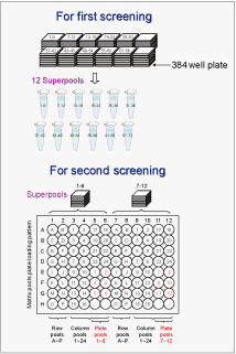 Fig.3