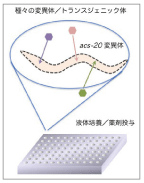 図3