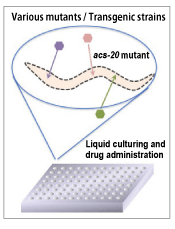 Fig.3