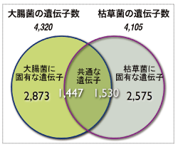 図2