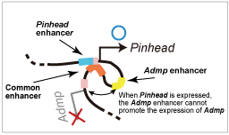 Fig.3