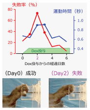 Fig.2