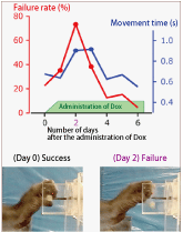 Fig.2