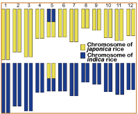 Fig.3