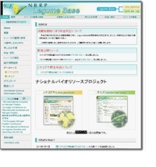 Legume