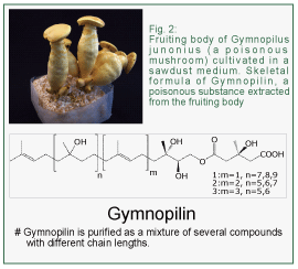 Fig.2