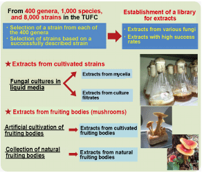 Fig.3