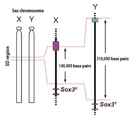 Fig.2