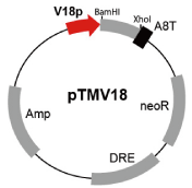 Fig.2