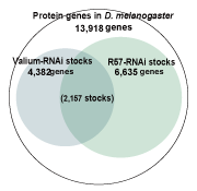 Fig.2