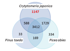 Fig.3