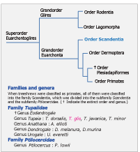 Fig.2