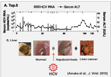 Fig.4