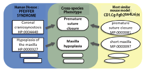 Fig.1