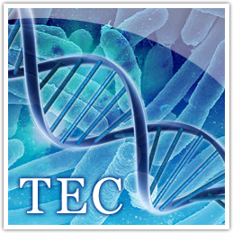 TEC - Transcription Factor Profiling of Escherichia coli