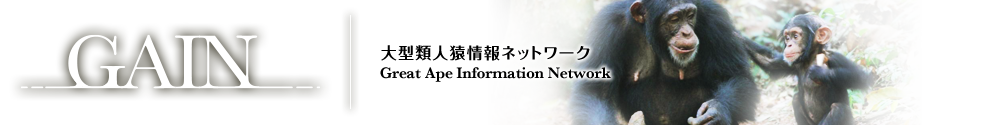 GAIN 大型類人猿情報ネットワーク Great Ape Information Network
