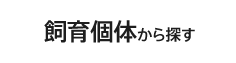 飼育個体から探す