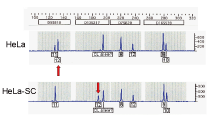 Fig.3