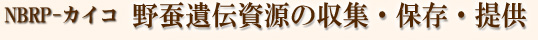 NBRP-カイコ　野生遺伝資源の収集・保存・提供