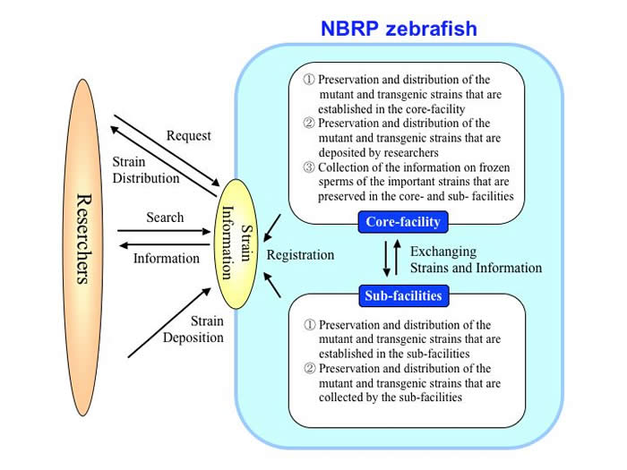 Organizations