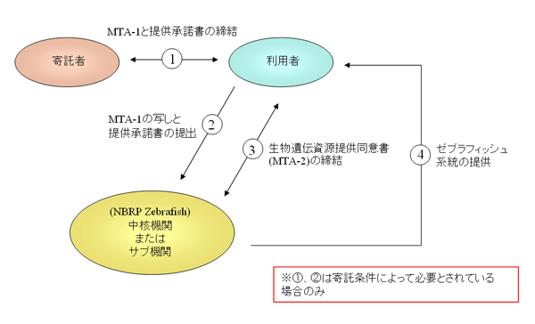 MTA-1�ƒ񋟏������̒���